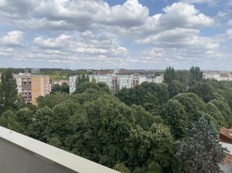 Appartement 223